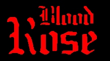 Secondary Logo
